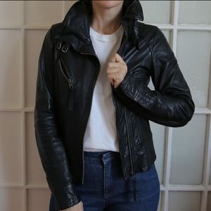allsaints belvedere jacket